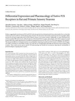 Differential Expression and Pharmacology of Native P2X Receptors