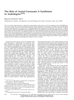 The Role of Acetyl-Coenzyme A Synthetase in