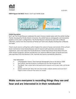 11/20 AEH EDEP Program Fall 2013| Week 3: Surf`s Up! Exhibit