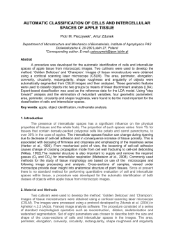 Automatic classification of cells and intercellular spaces of apple tissue