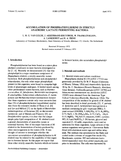 ACCUMULATION OF PHOSPHATIDYLSERINE IN STRICTLY