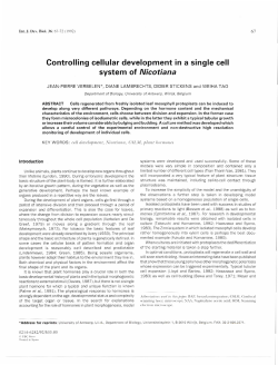 Controlling cellular development in a single cell system of Nicotiana