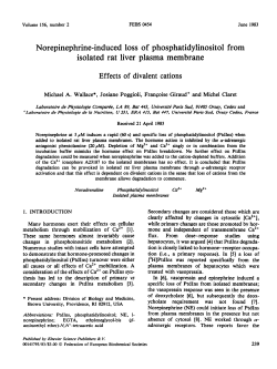 Norepinephrine-induced loss of phosphatidylinositol