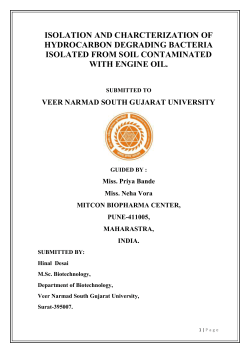 Isolation And Charcterization Of Hydrocarbon Degrading Bacteria