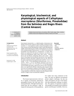 Karyological, biochemical, and physiological aspects of Callophysus