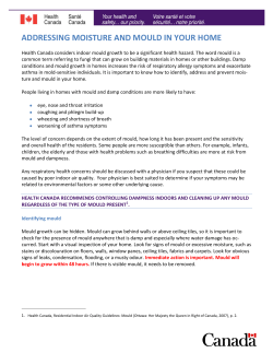 Addressing Moisture and Mould In Your Home