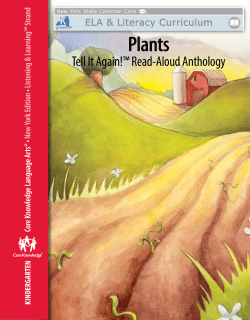 Plants
