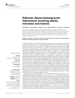 Above-belowground interactions involving plants