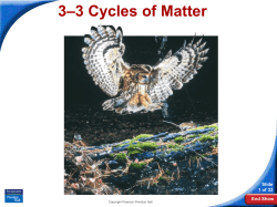 3–3 Cycles of Matter