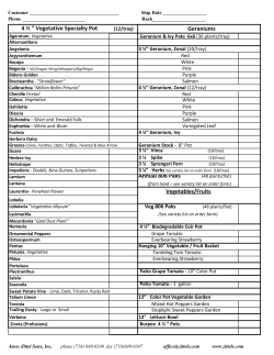 4 &frac12; " Vegetative Specialty Pot Geraniums Annual 806 Paks