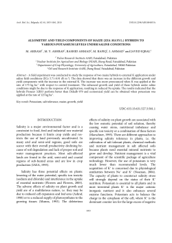 allometry and yield components of maize (zea mays l