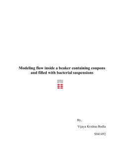 Modeling flow inside a beaker with plates filled