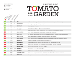 Tomato Guide