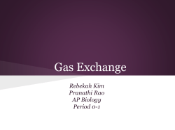 Gas Exchange
