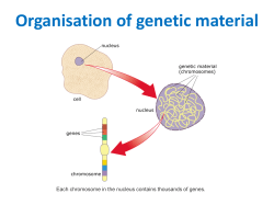 The Fluid Mosaic Model of Membranes
