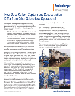 How Does Carbon Capture and Sequestration Differ from Other