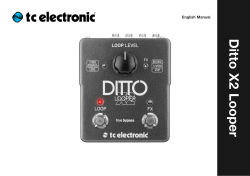 Ditto X2 Looper