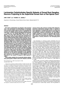 Lactoseries Carbohydrates Specify Subsets of Dorsal Root Ganglion