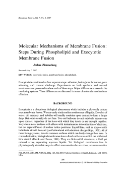 Molecular mechanisms of membrane fusion: Steps during