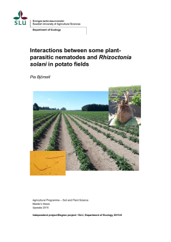 Interactions between some plant- parasitic nematodes and