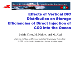 Effect of Vertical DIC Distribution on Storage