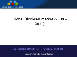 Global Biodiesel Market Segmentation