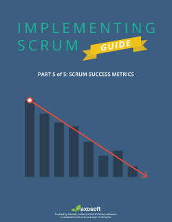 SCRUM SUCCESS METRICS