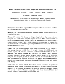 Kidney transplant fibrosis occurs independent of peritubular
