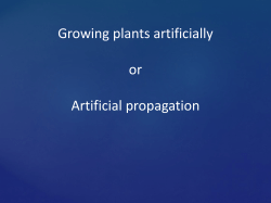 2. growing plants artificially