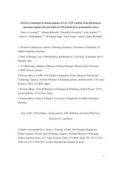 Met23Lys mutation in subunit gamma of FOF1