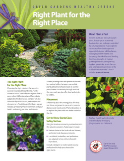 Right Plant for the Right Place