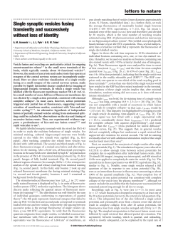 Single synaptic vesicles fusing transiently and successively without