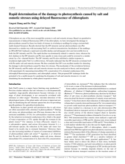 Rapid determination of the damage to photosynthesis caused by salt