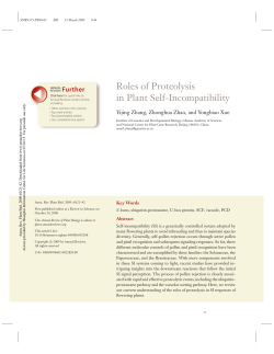 Roles of Proteolysis in Plant Self