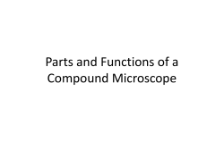 Microscope ppt