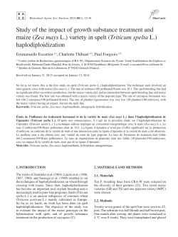 Study of the impact of growth substance treatment and maize (Zea