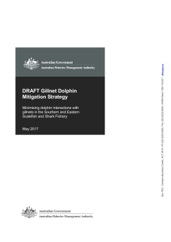 DRAFT Gillnet Dolphin Mitigation Strategy