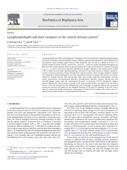 Lysophospholipids and their receptors in the central nervous system