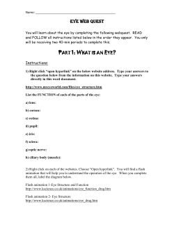 eye web quest