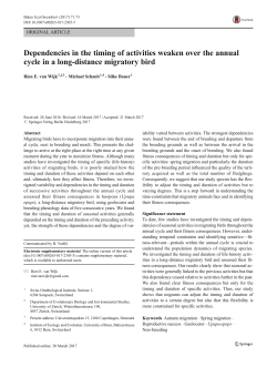 Dependencies in the timing of activities weaken over the annual