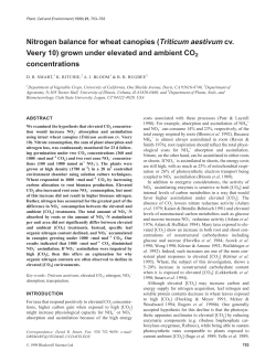 Nitrogen balance for wheat canopies (Triticum aestivum cv. Veery