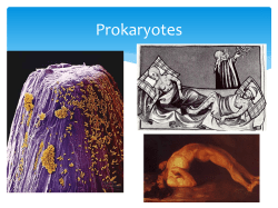 Daily Warm-up February 18th