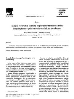 Simple reversible staining of proteins transferred