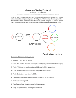 Gateway Cloning Protocol II