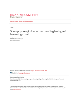Some physiological aspects of breeding biology of blue