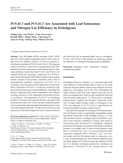 PvNAC1 and PvNAC2 Are Associated with Leaf Senescence and