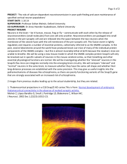 The role of calcium dependent neurotransmission in axon