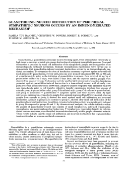 guanethidine-induced destruction of peripheral sympathetic neurons