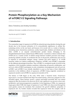 Protein Phosphorylation as a Key Mechanism of