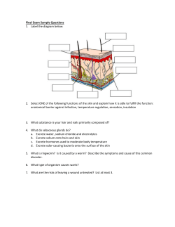 Final Exam Sample Questions
